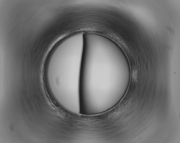 X0000112730724200908201013