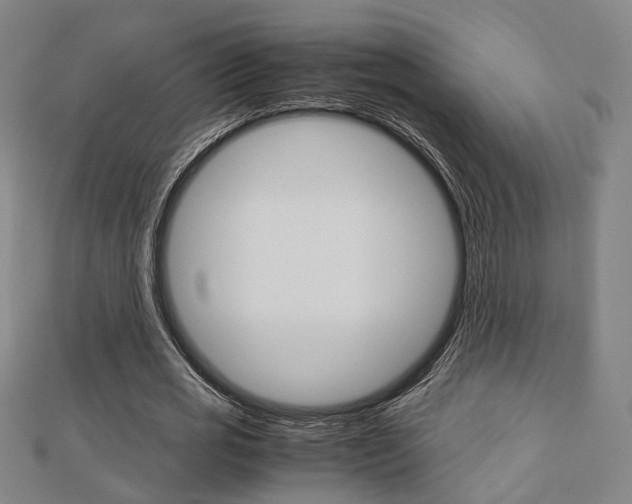 X0000112730725200908201013
