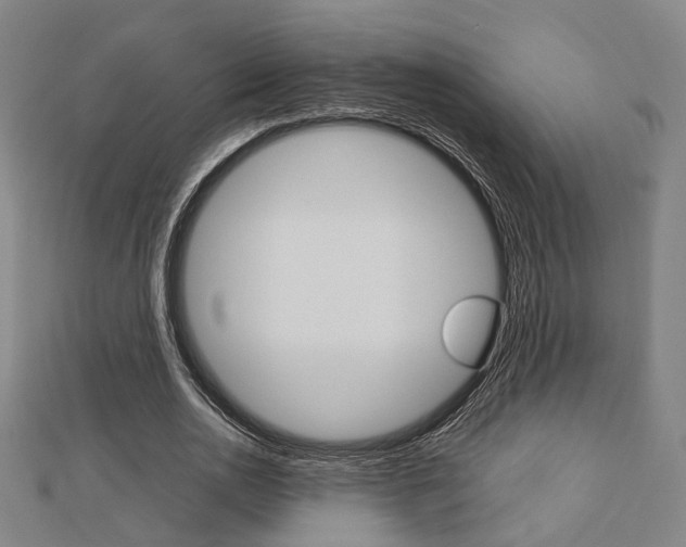 X0000112730726200908201013