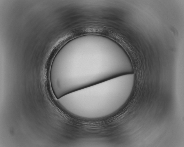 X0000112730727200908201013