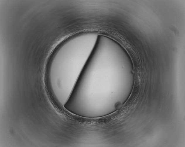 X0000112730728200908201013
