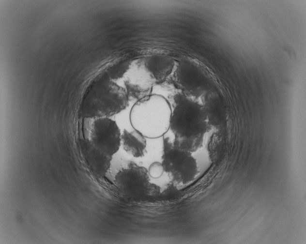 X0000112730729200908201013
