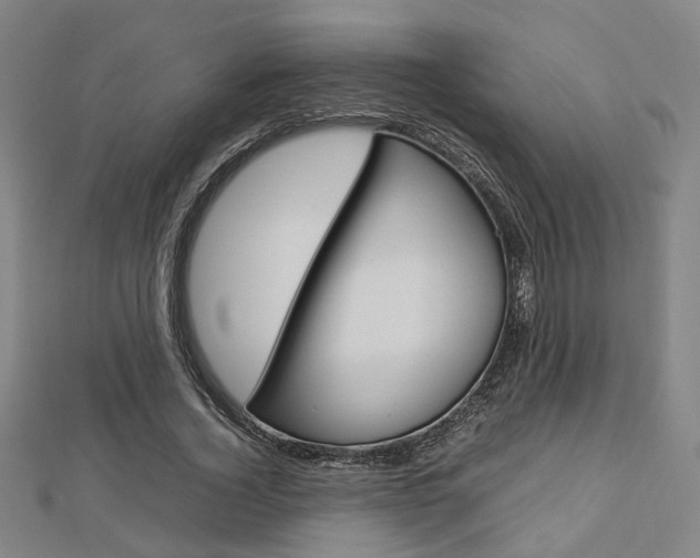 X0000112730732200908201013