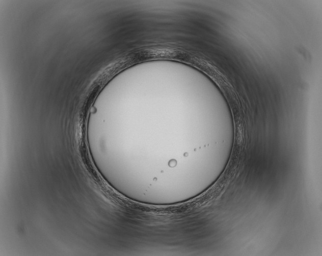 X0000112730733200908201013