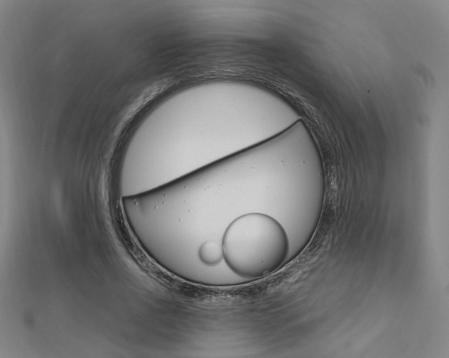 X0000112730734200908201013