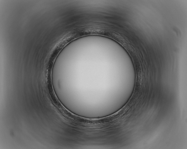 X0000112730735200908201013