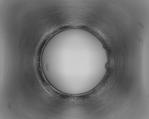 X0000112730736200908201013