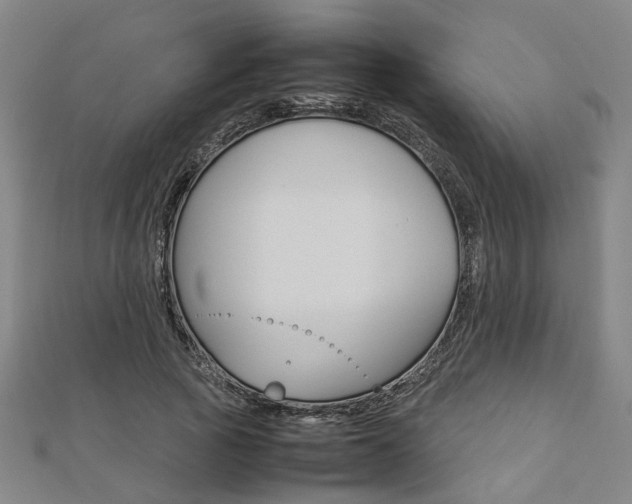 X0000112730737200908201013