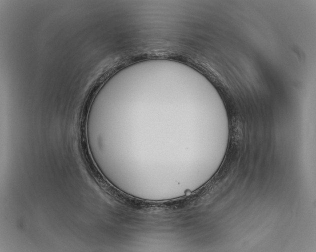 X0000112730738200908201013