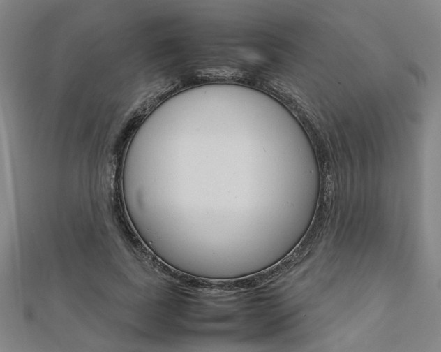 X0000112730739200908201013