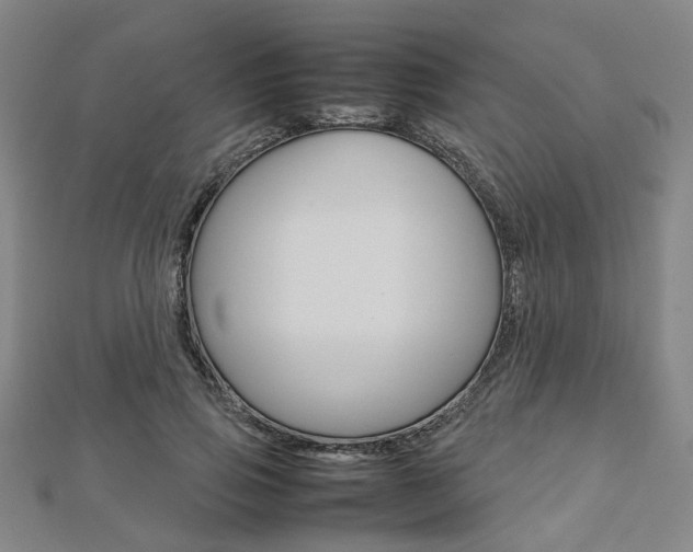 X0000112730741200908201013