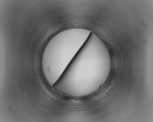 X0000112730742200908201013