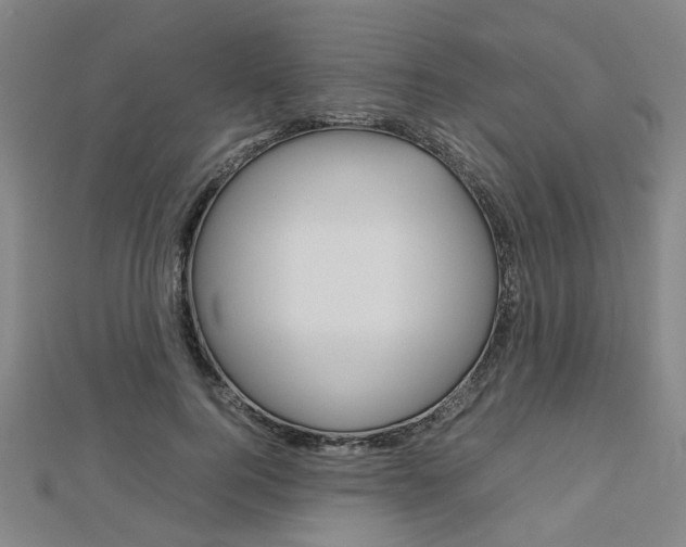 X0000112730744200908201013