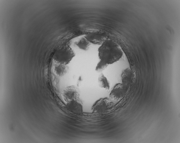 X0000112730745200908201013