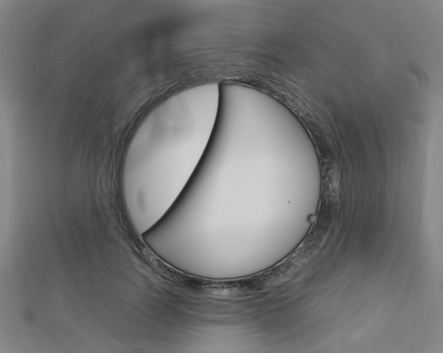 X0000112730746200908201013