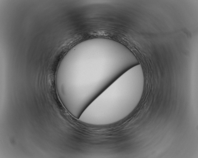 X0000112730747200908201013