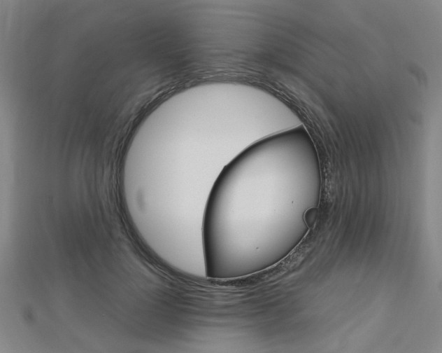 X0000112730748200908201013