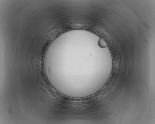 X0000112730749200908201013