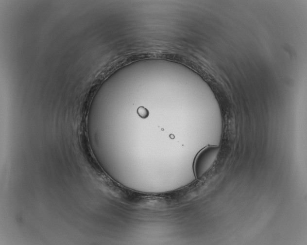 X0000112730750200908201013