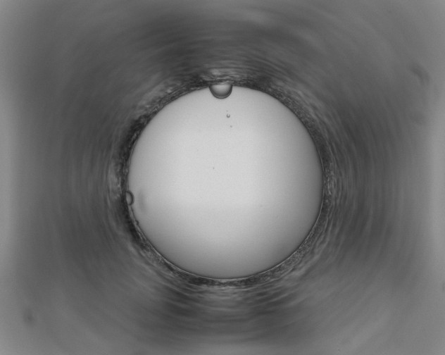 X0000112730751200908201013