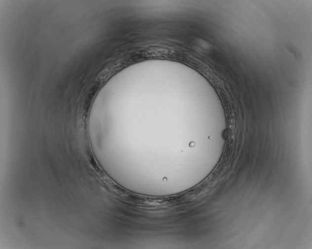 X0000112730753200908201013