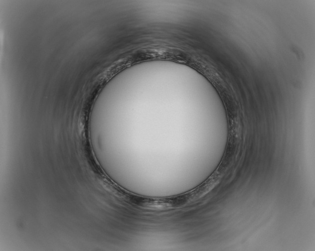 X0000112730754200908201013