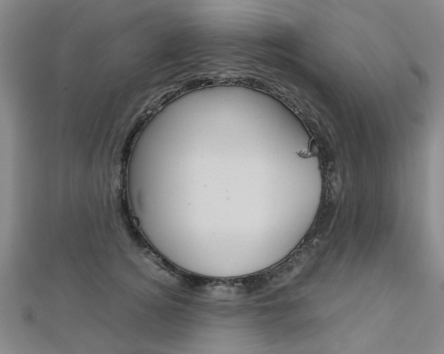 X0000112730756200908201013