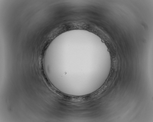 X0000112730757200908201013