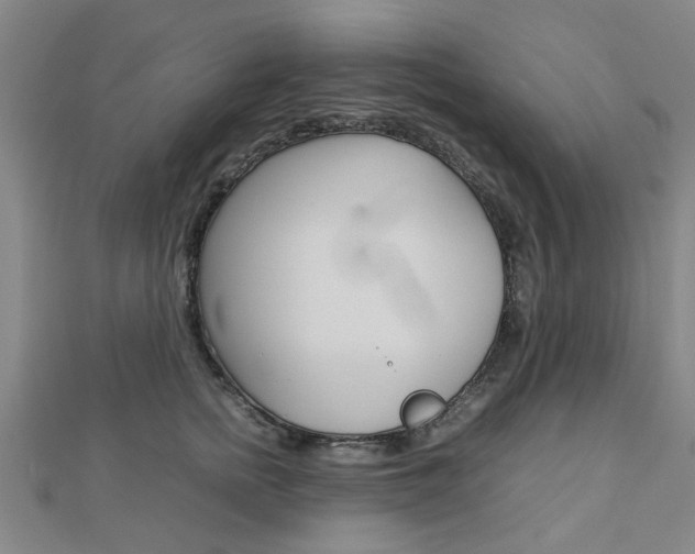 X0000112730758200908201013