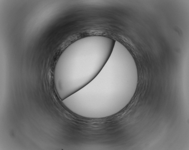 X0000112730761200908201013