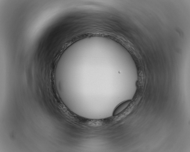 X0000112730762200908201013