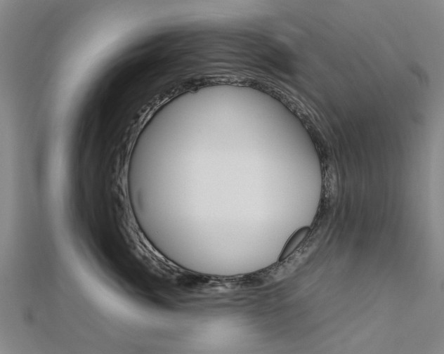 X0000112730764200908201013