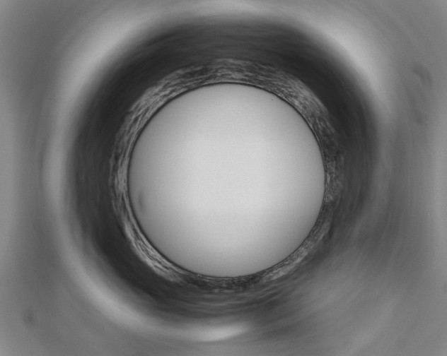 X0000112730765200908201013