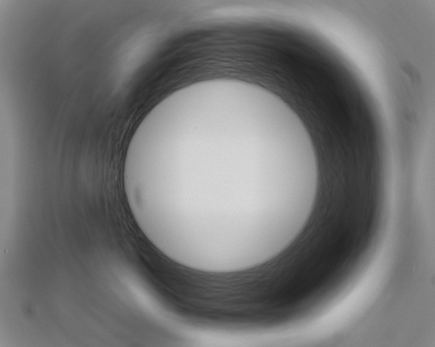 X0000112730766200908201013