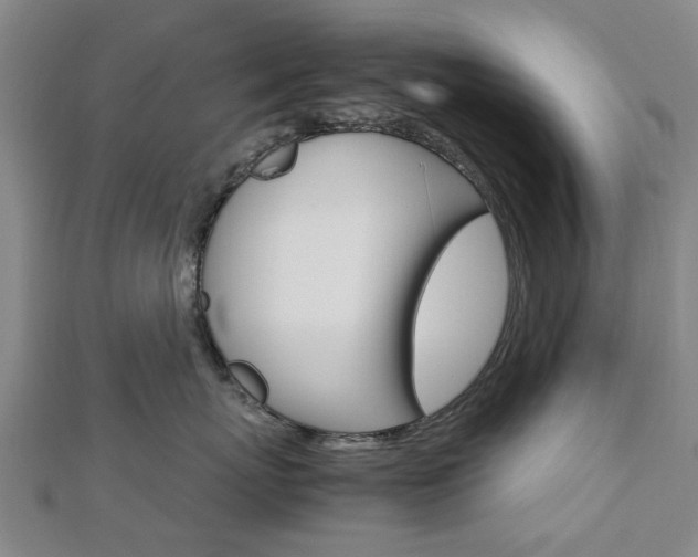 X0000112730767200908201013
