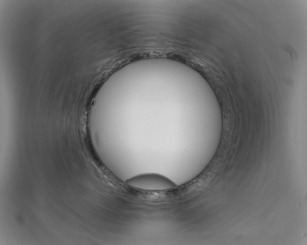 X0000112730768200908201013