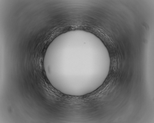 X0000112730770200908201012