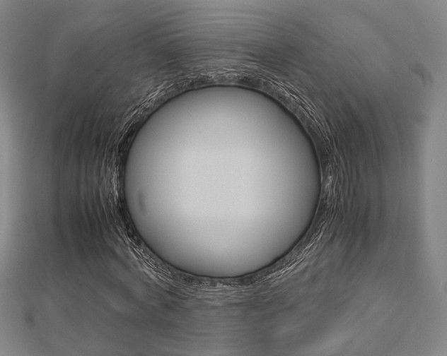 X0000112730772200908201012