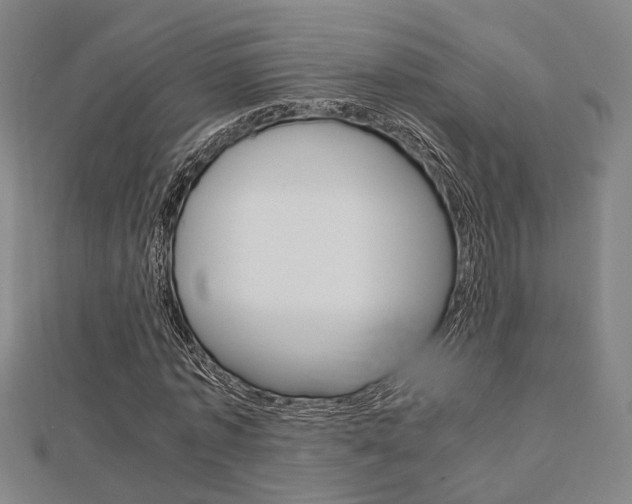 X0000112730773200908201012
