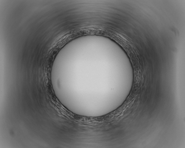 X0000112730774200908201012