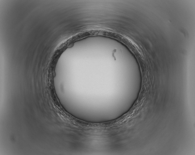 X0000112730775200908201012