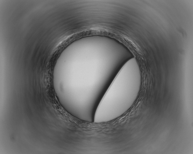 X0000112730776200908201012