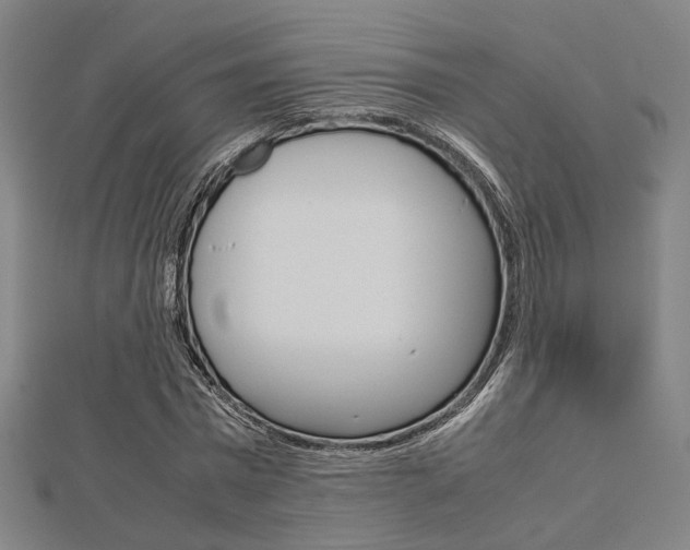 X0000112730777200908201012