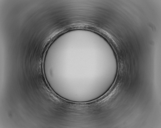 X0000112730778200908201012