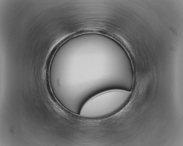 X0000112730779200908201012