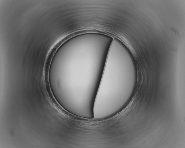 X0000112730780200908201012