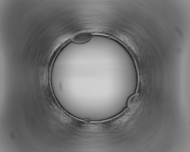 X0000112730781200908201012
