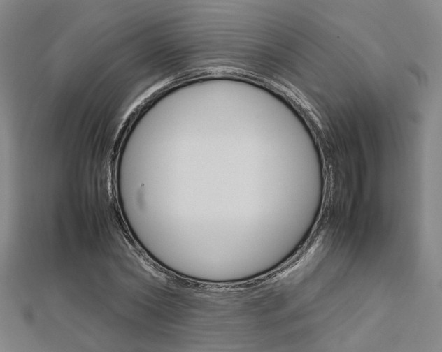 X0000112730782200908201012