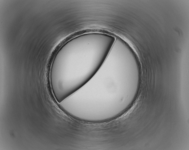 X0000112730783200908201012
