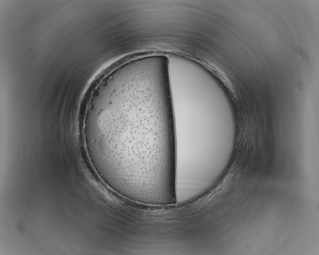 X0000112730784200908201012